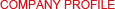 公司概況